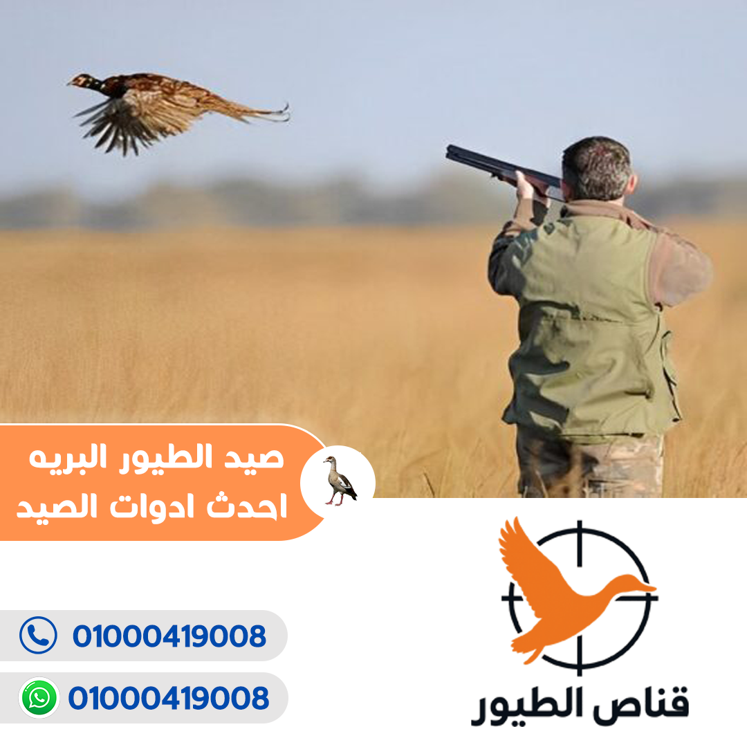 قناص الطيور4