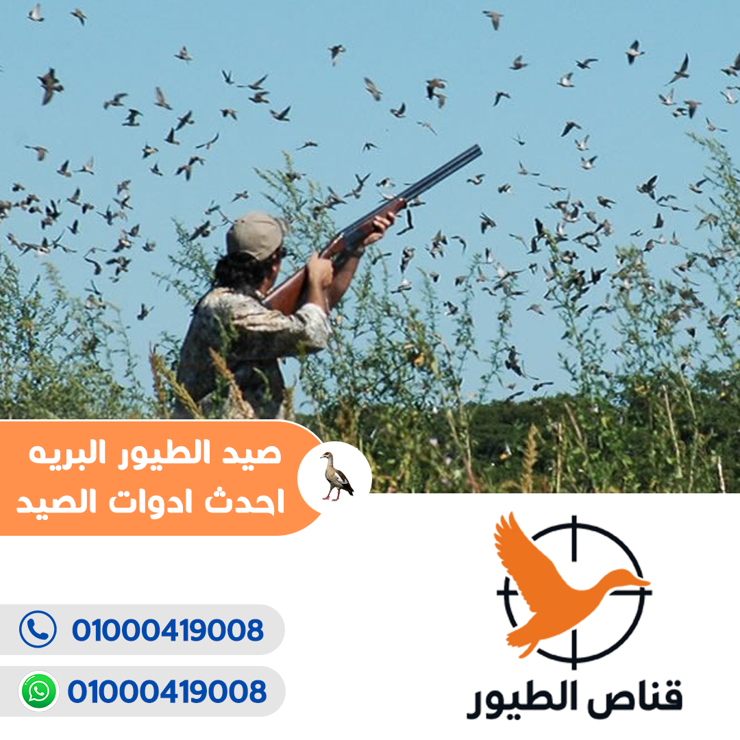 قناص الطيور6