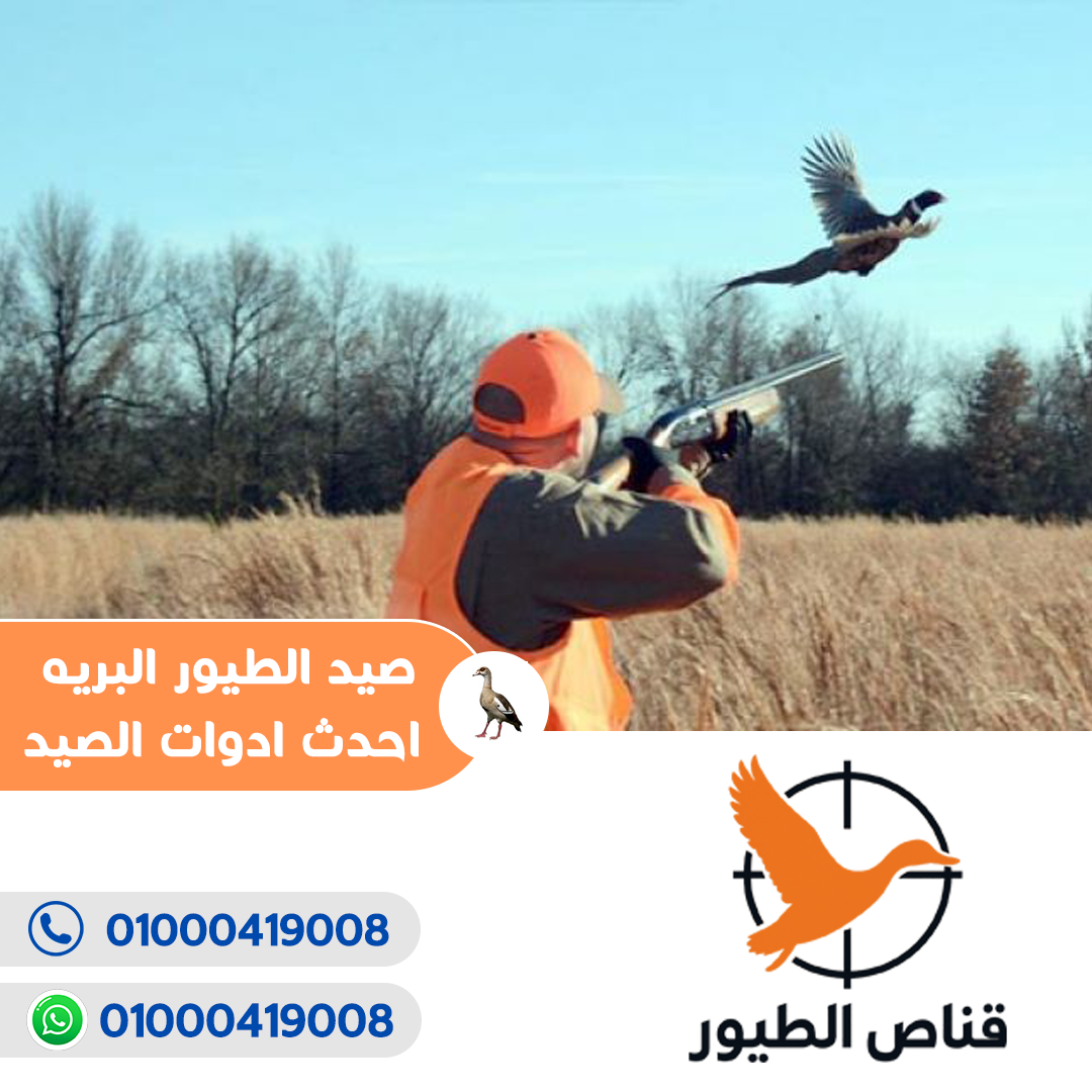 قناص الطيور7