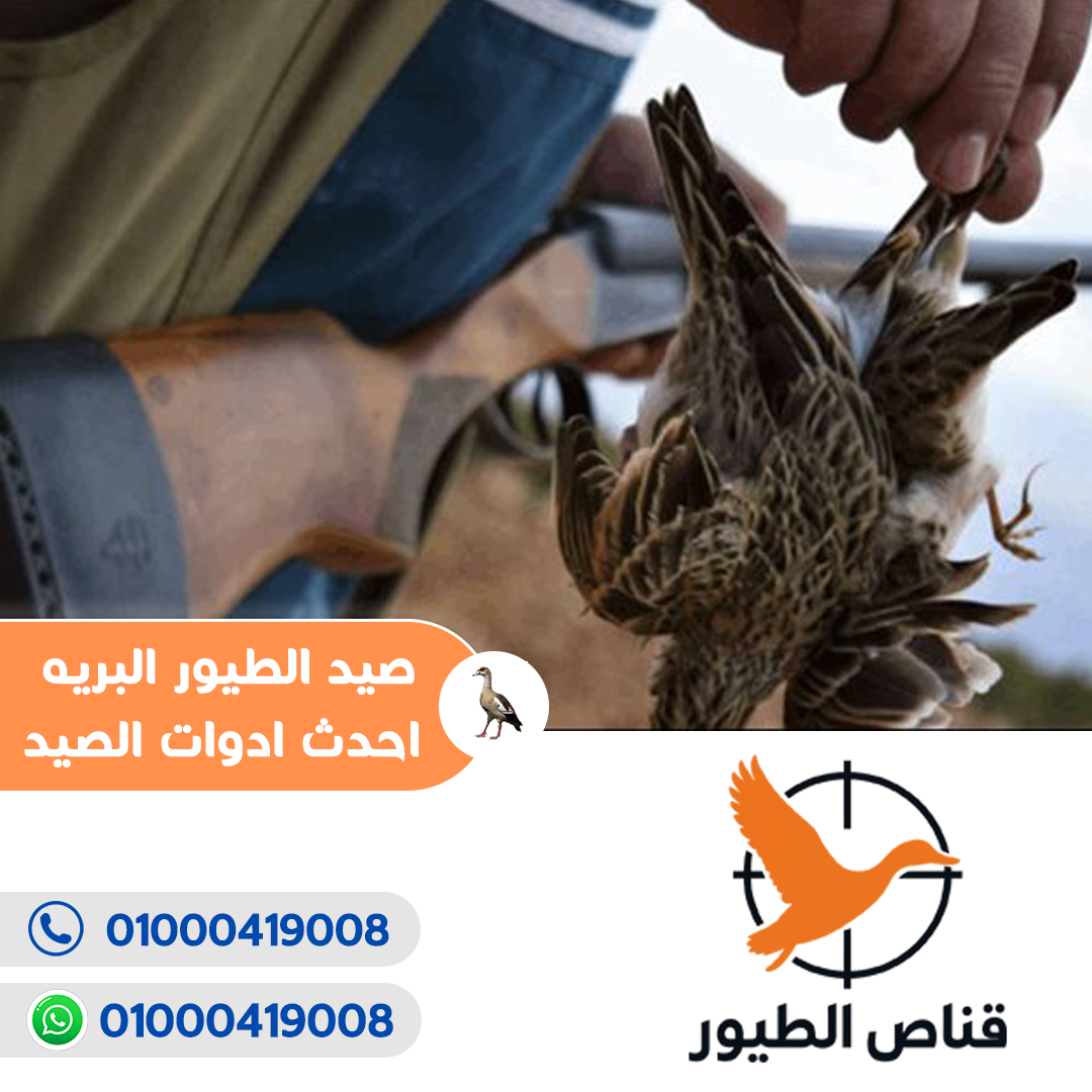 قناص الطيور8